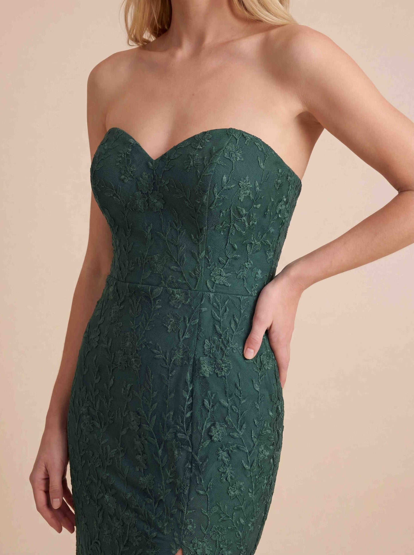 Floral Embroidered Strapless Maxi Dress
